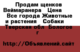 Продам щенков Веймаранера › Цена ­ 30 - Все города Животные и растения » Собаки   . Тверская обл.,Бологое г.